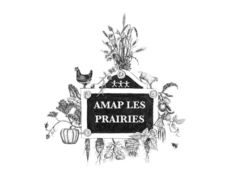 AMAP Les Prairies